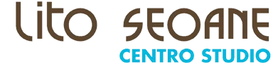 Lito Seoane | CENTROS DE ENSINO DE PELUQUERIA E ESTETICA DE GALICIA